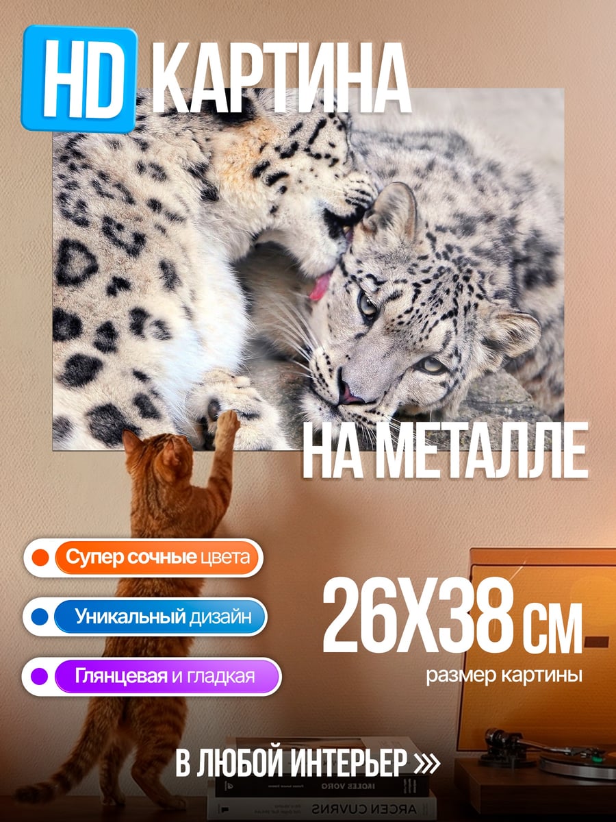 Картина на металле Снежные барсы