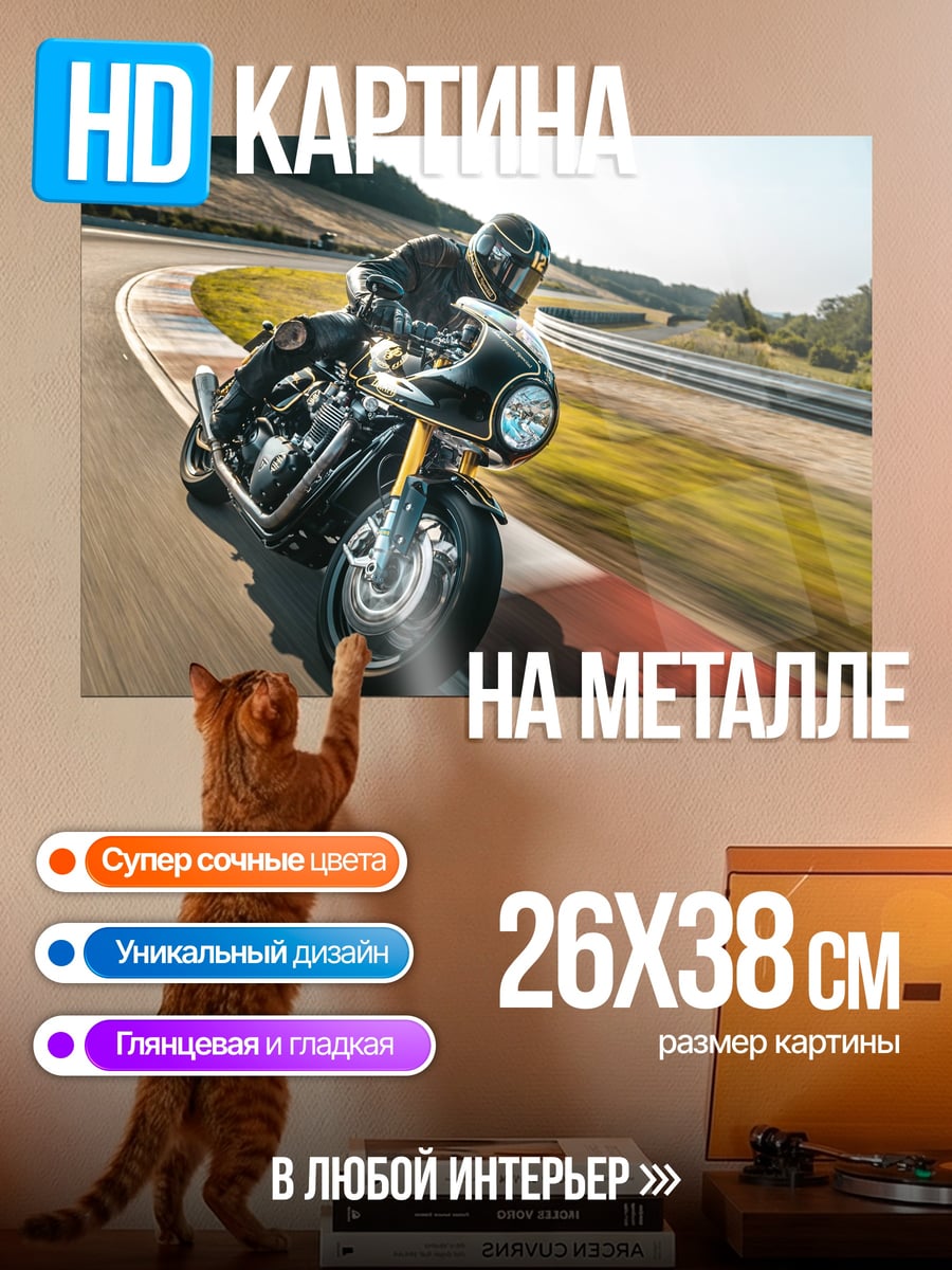 Картина на металле гонка на мотоцикле