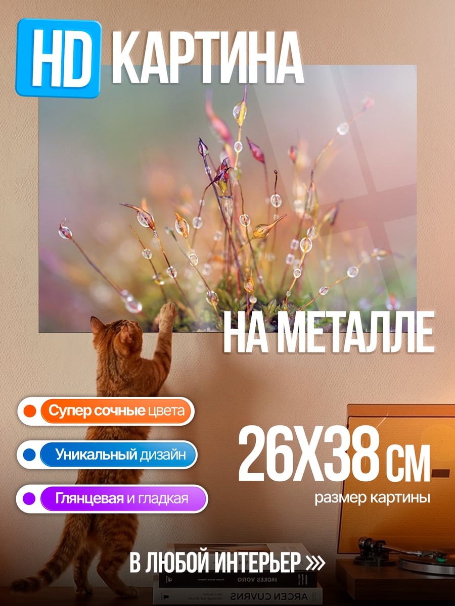 Картина на металле Капли на мхе