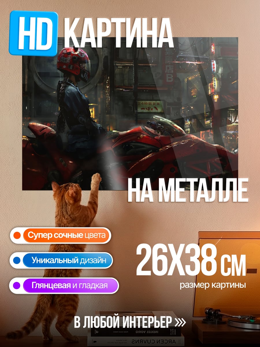 Картина на металле Канеда на мотоцикле