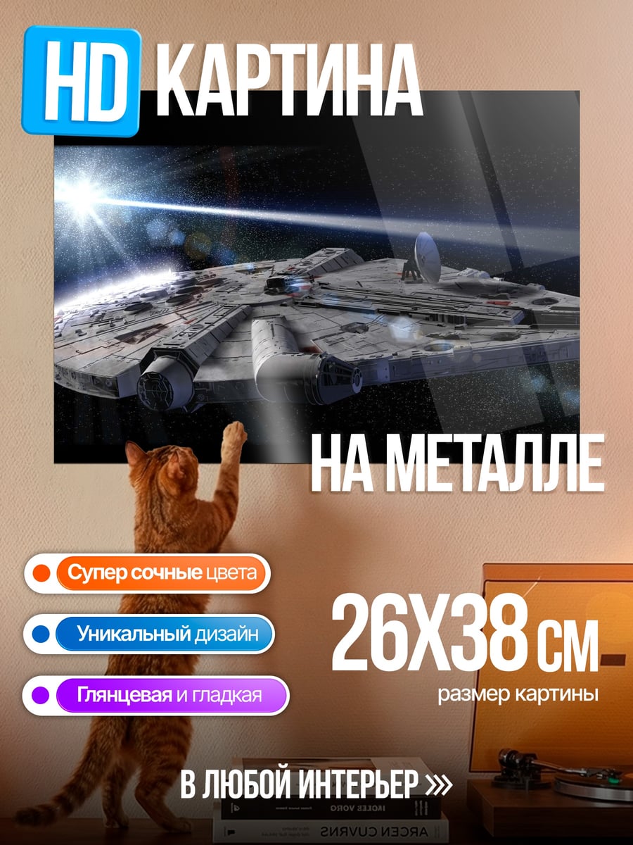 Картина на металле Космический корабль Сокол