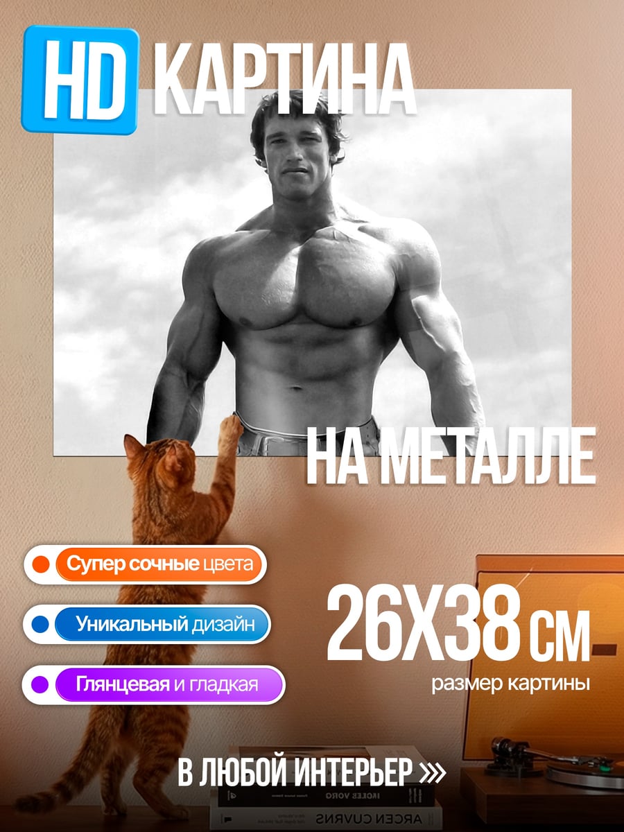 Картина на металле Арнольд Шварценеггер бодибилдер