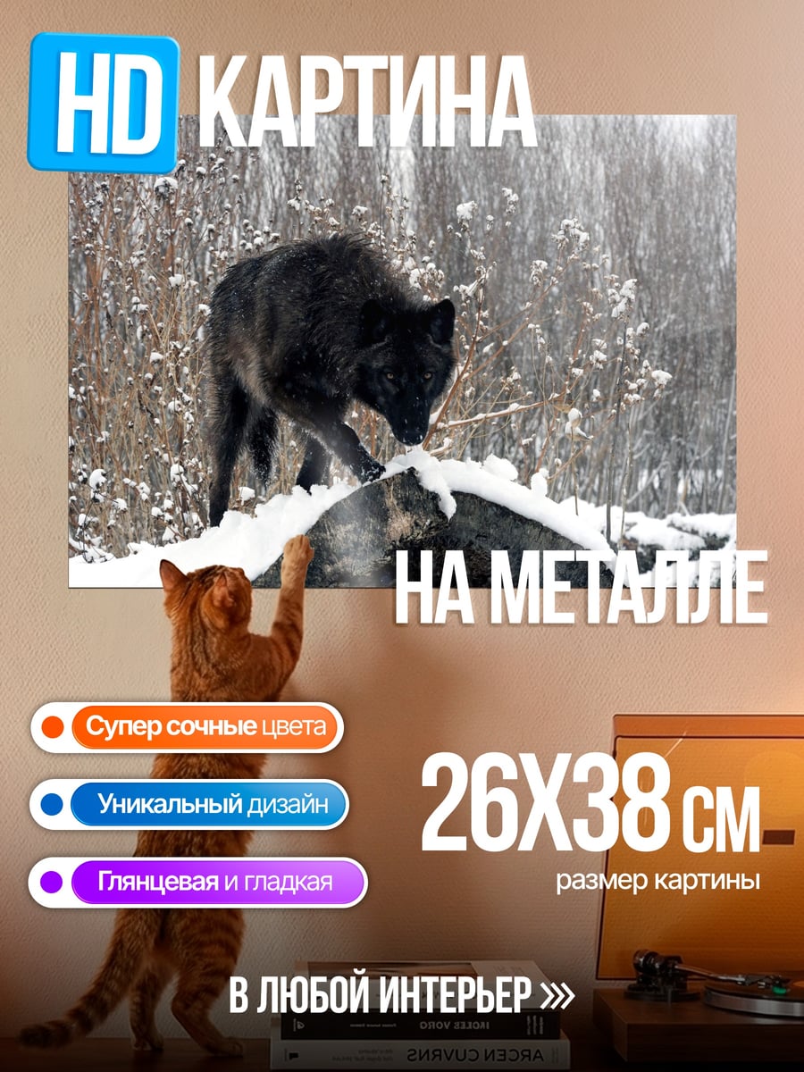 Картина на металле Черный волк
