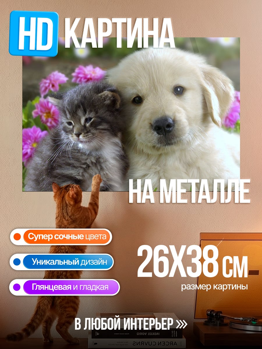 Картина на металле Котёнок и щенок