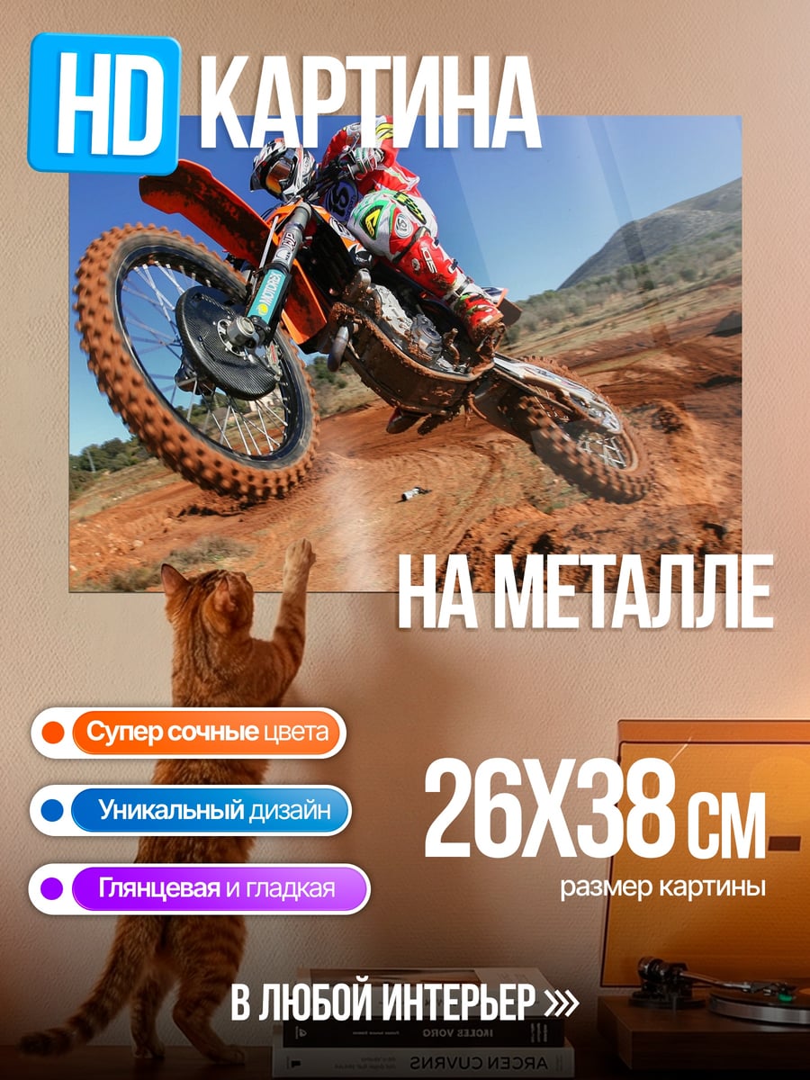 Картина на металле Мотоциклист в прыжке