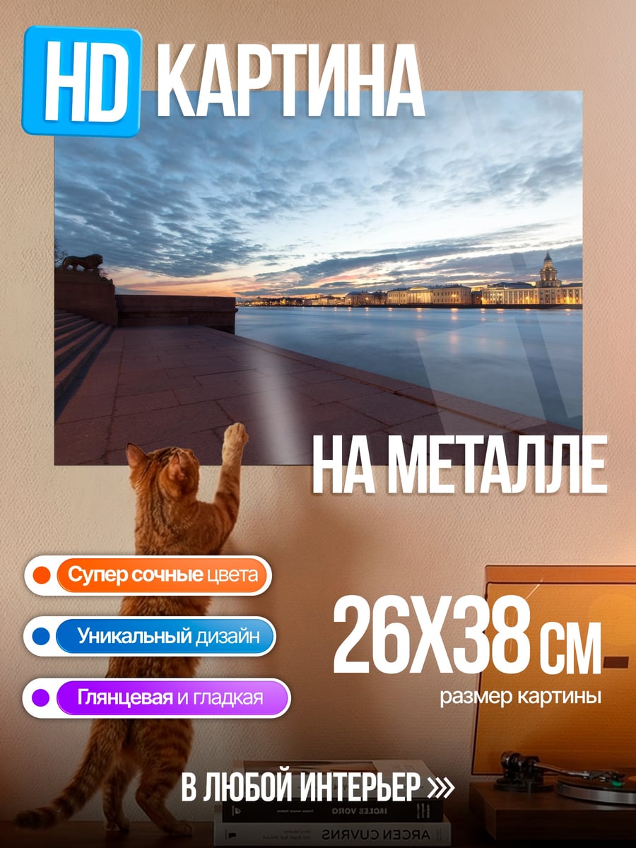 Картина на металле Санкт-Петербург на закате