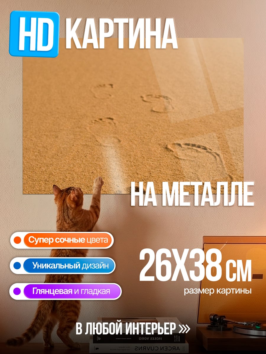 Картина на металле Следы в пустыне