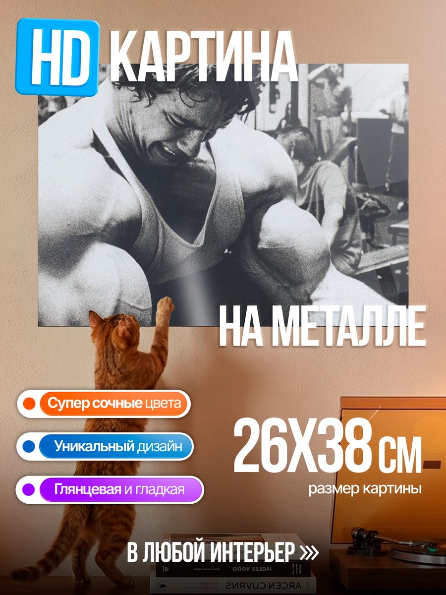 Картина на металле Арнольд Шварценеггер качается
