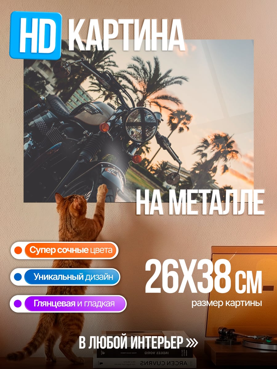 Картина на металле Мотоцикл на пальмах