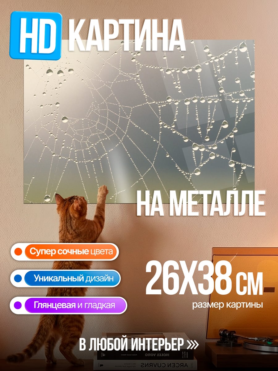 Картина на металле паутина с каплями