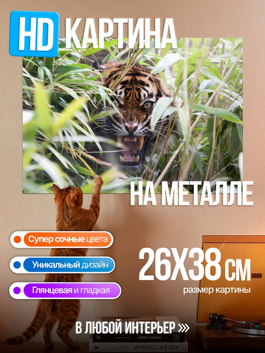 Картина на металле Тигр в зарослях
