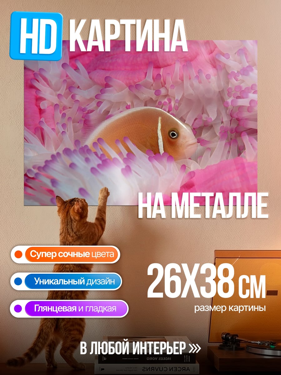 Картина на металле Рыба в анемоне