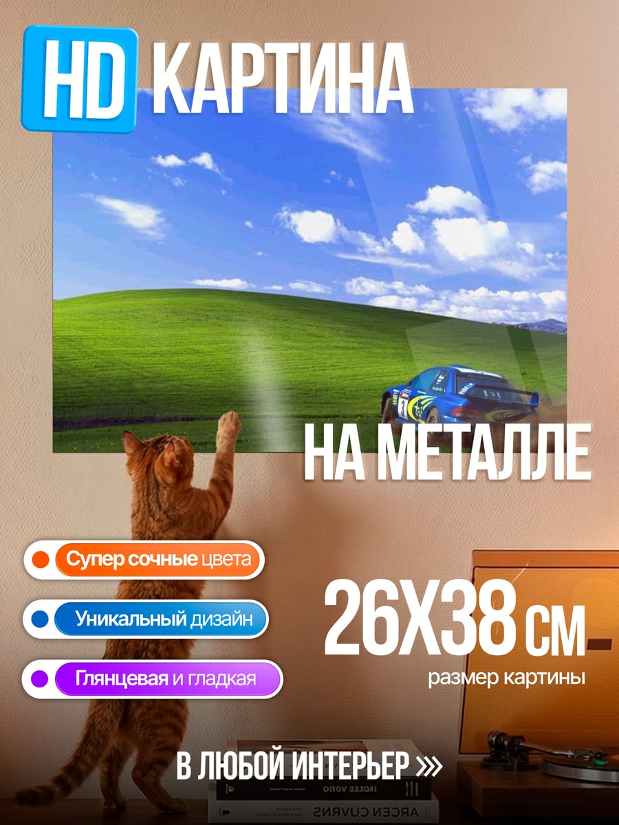 Картина на металле Раллийный автомобиль поле