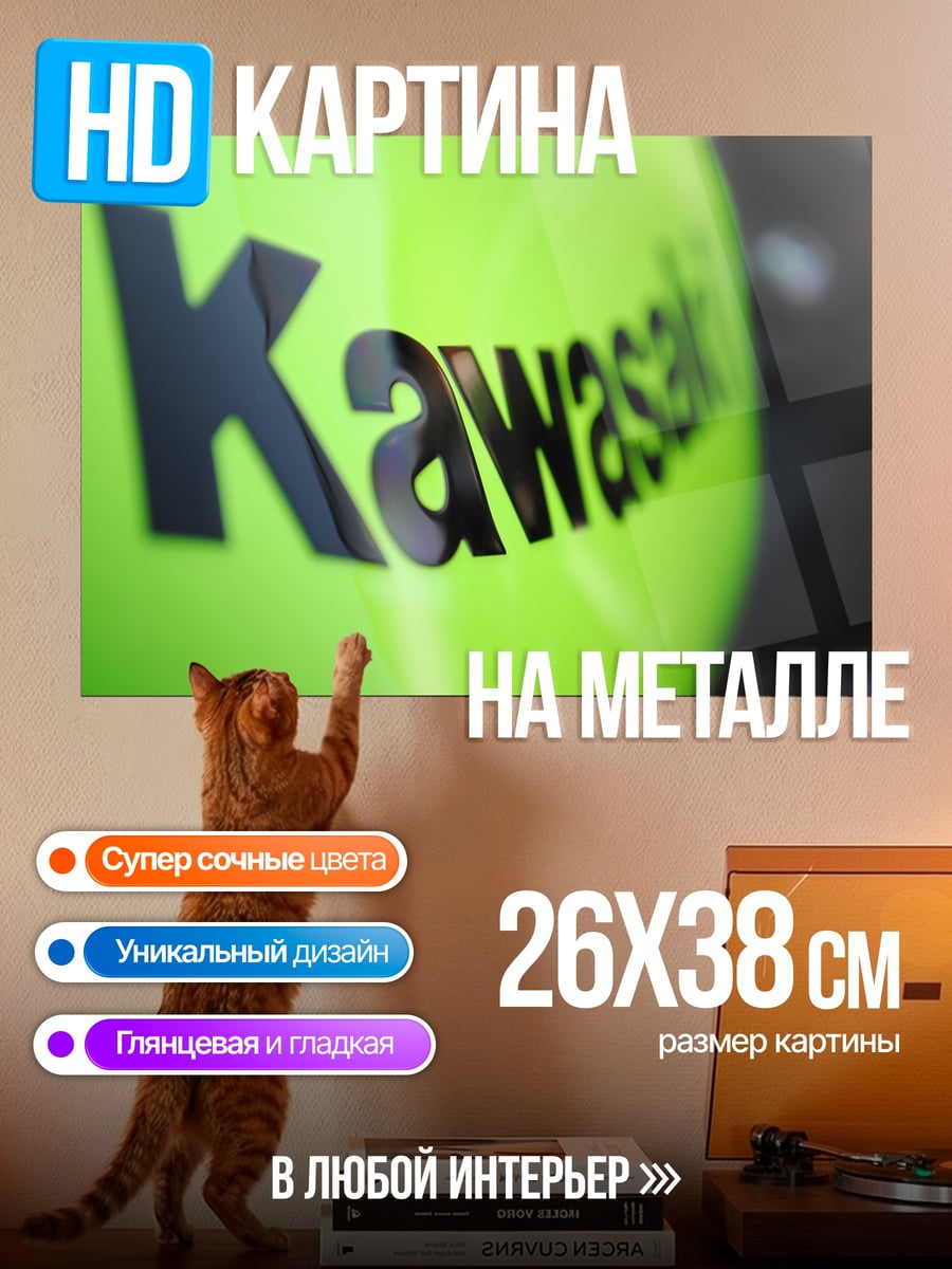 Картина на металле Логотип Kawasaki