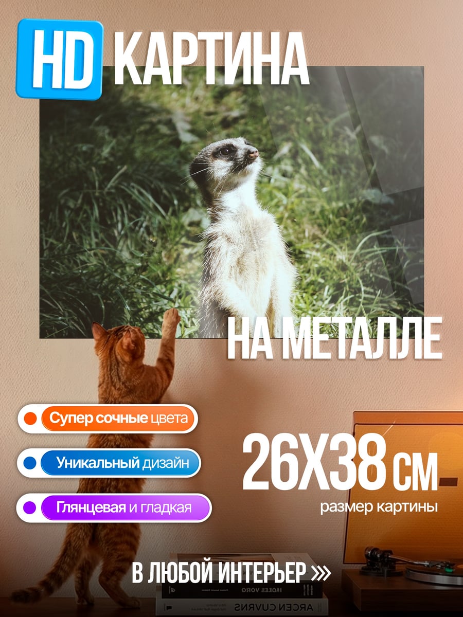 Картина на металле сурикат на траве