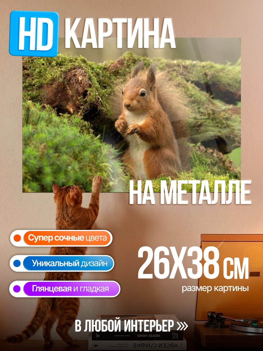 Картина на металле белка на мху
