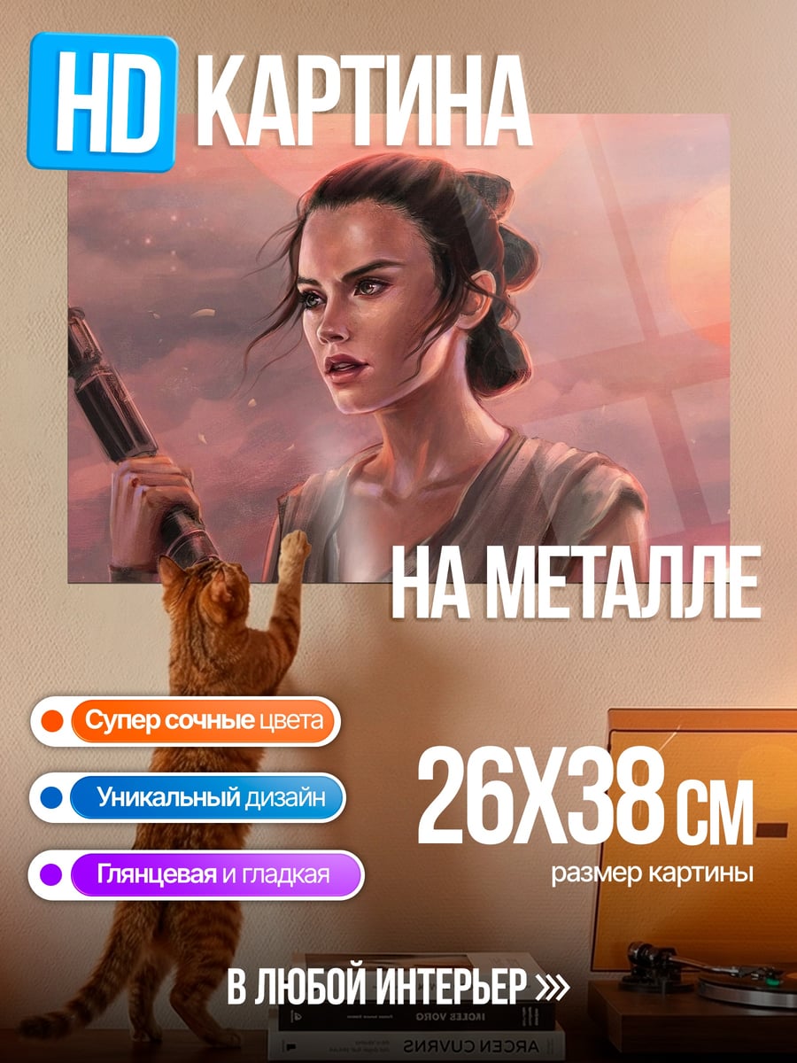 Картина на металле Рей из Звездных Войн