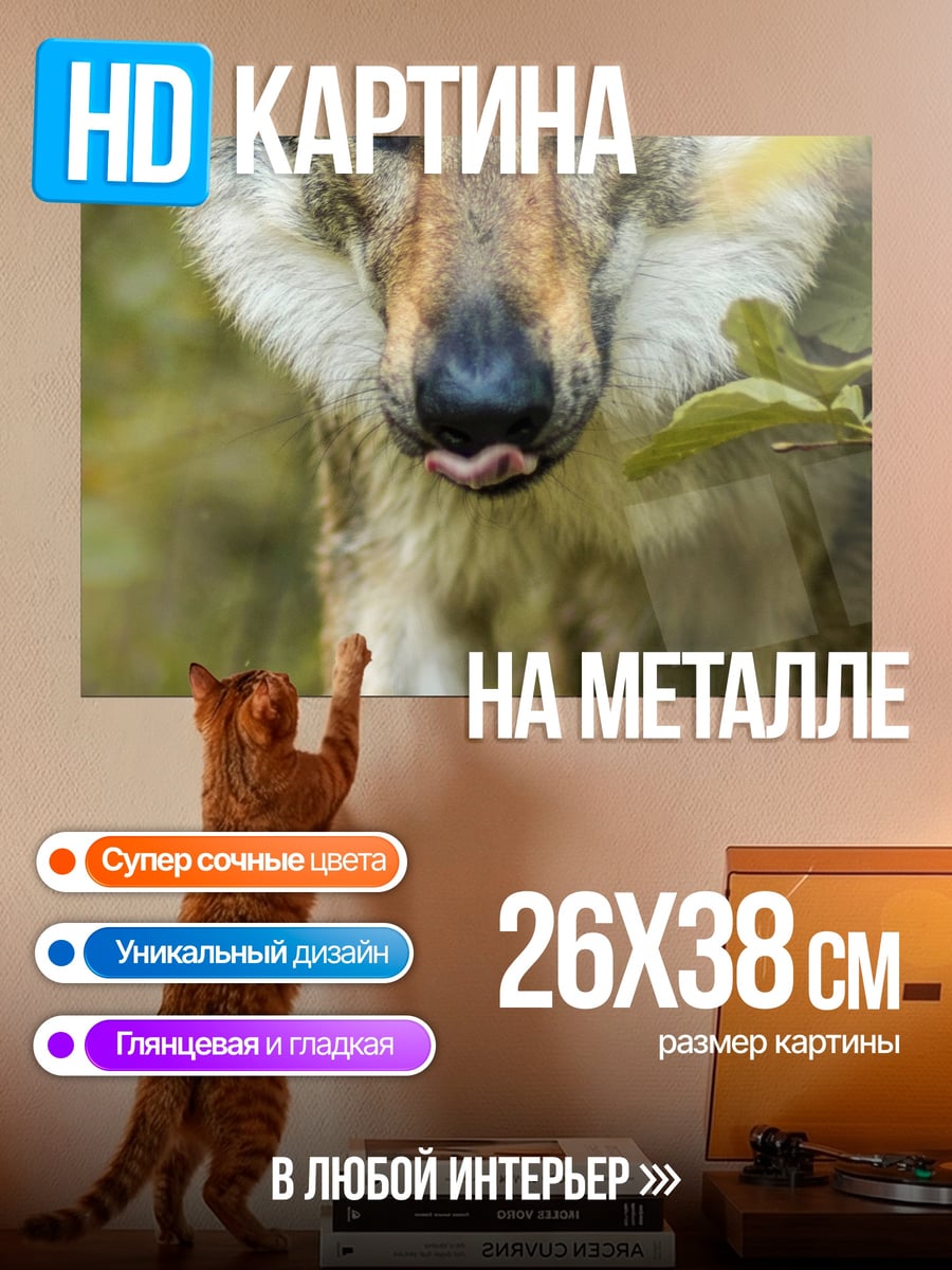 Картина на металле серый волк