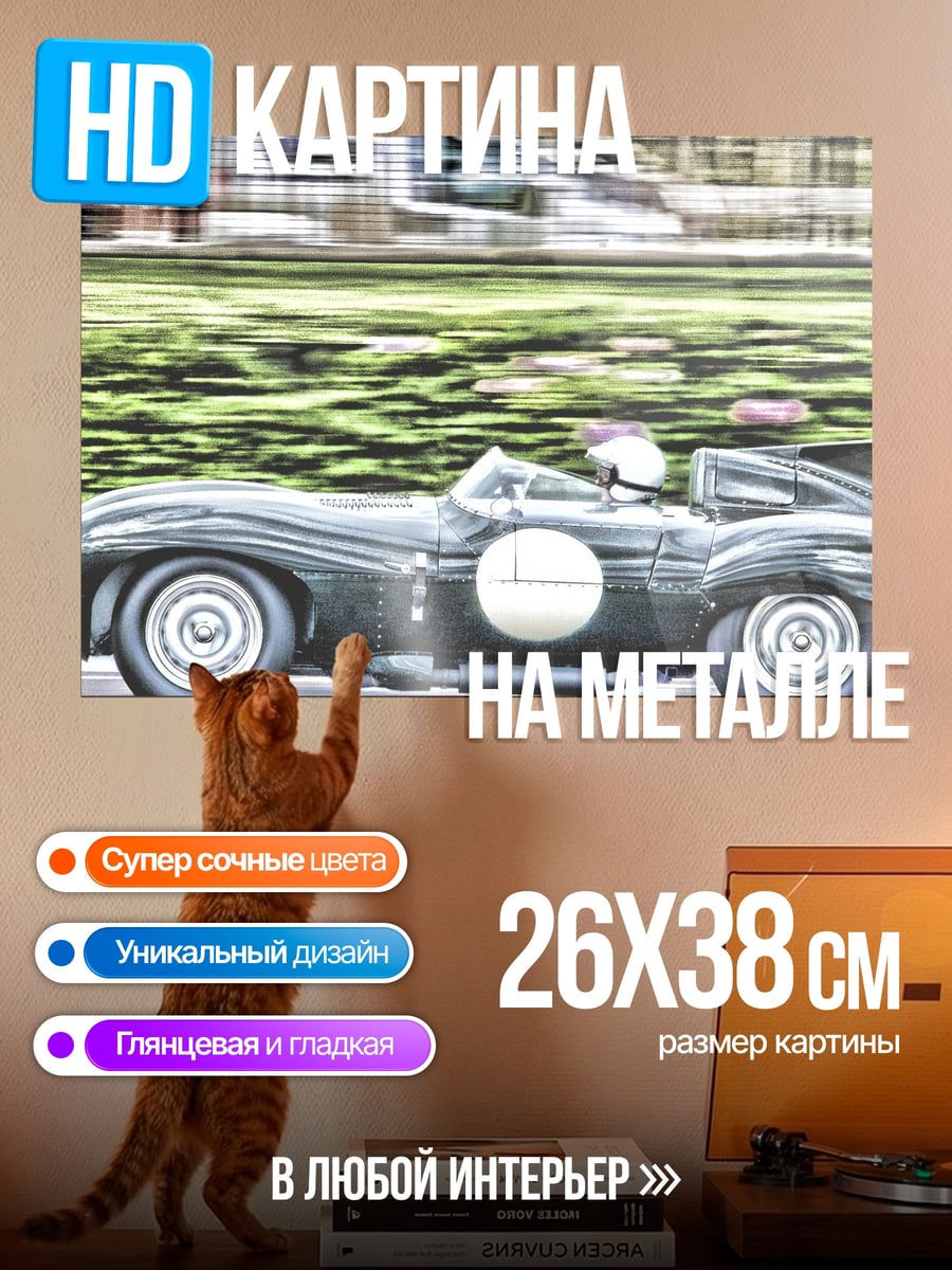 Картина на металле гоночный автомобиль