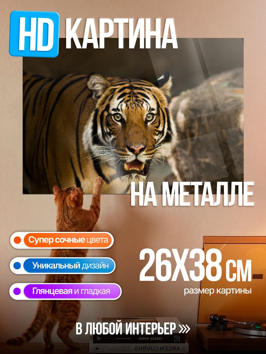Картина на металле Тигр смотрит