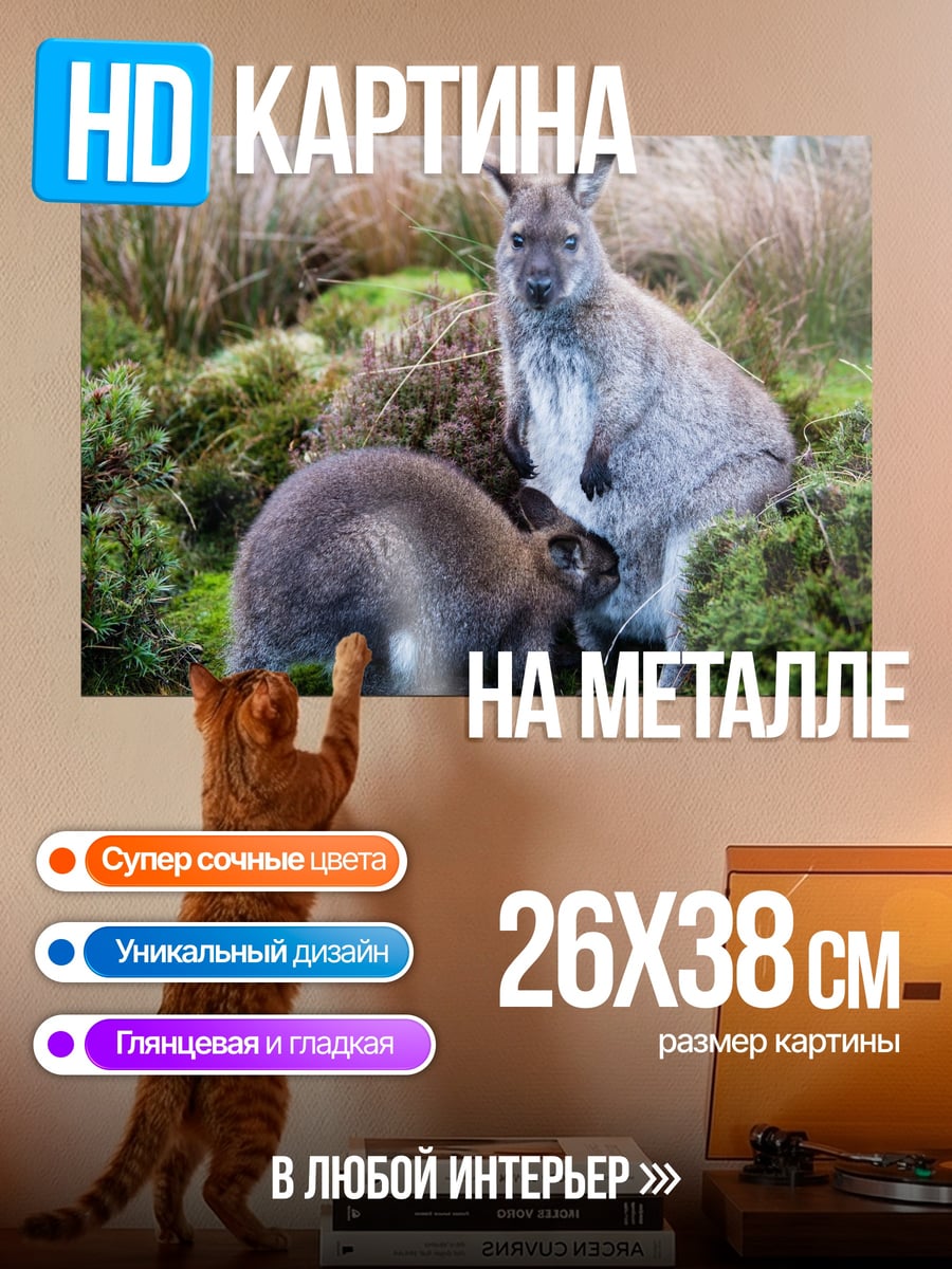Картина на металле два кенгуру