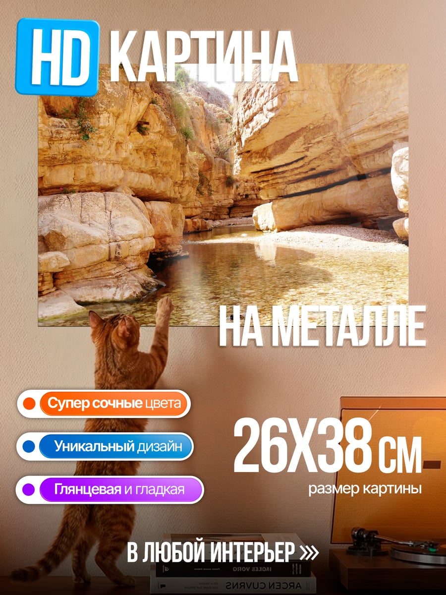 Картина на металле Каньон с рекой