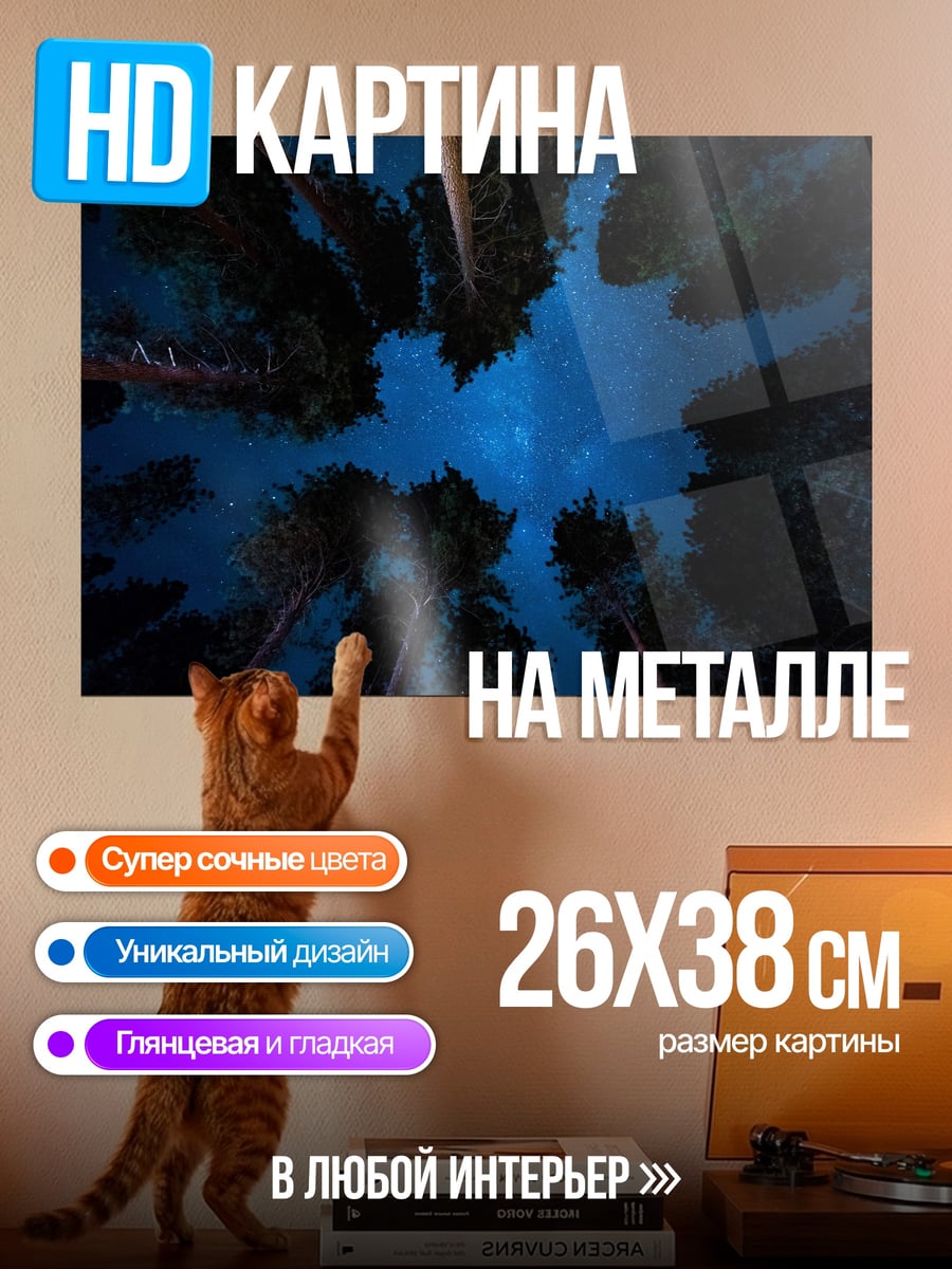 Картина на металле Ночное небо над лесом