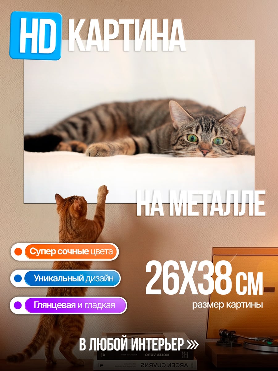 Картина на металле Ленивый кот