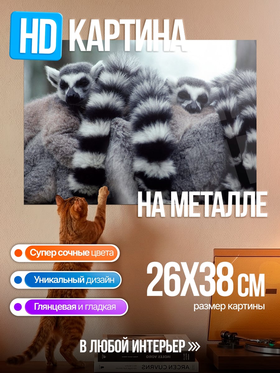 Картина на металле Лемуры в обнимку