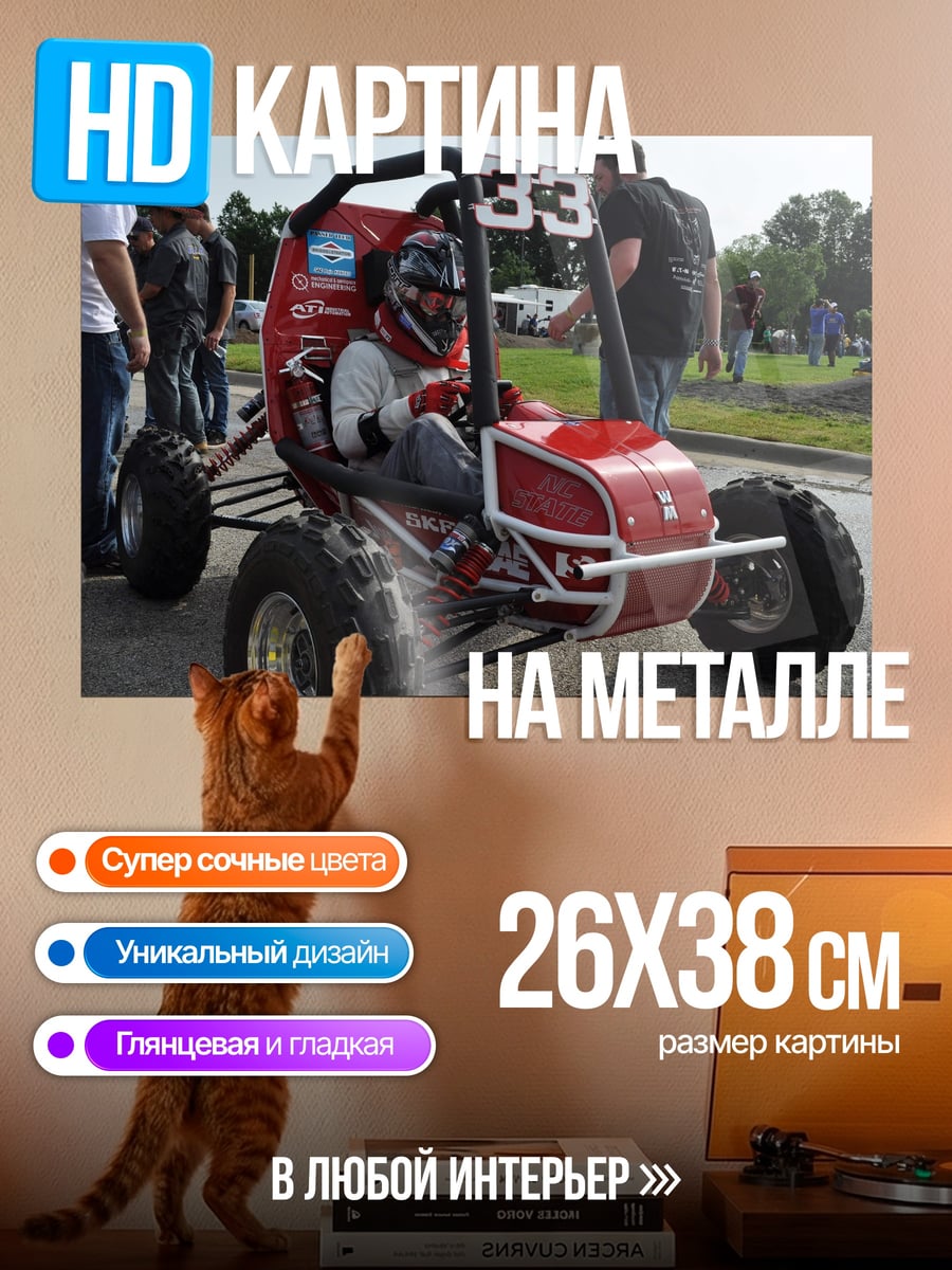 Картина на металле Гоночный багги команда
