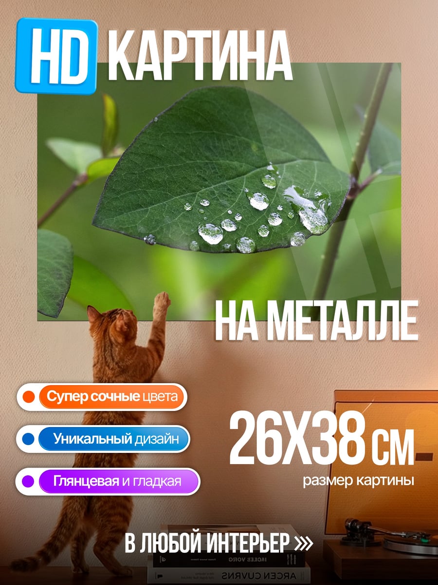 Картина на металле Капли на листе