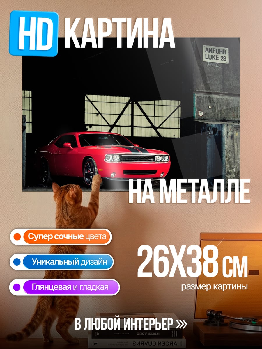 Картина на металле Красный маслкар