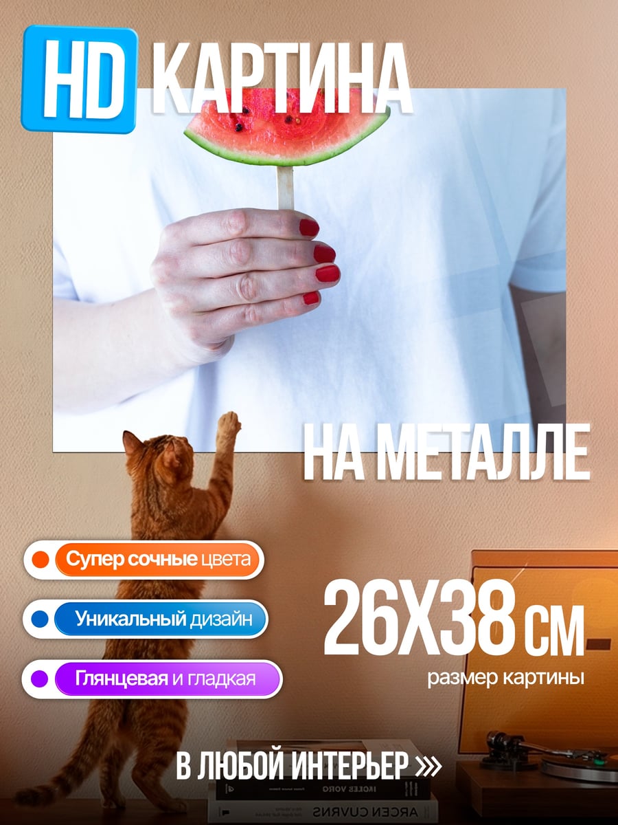 Картина на металле Арбузное мороженое