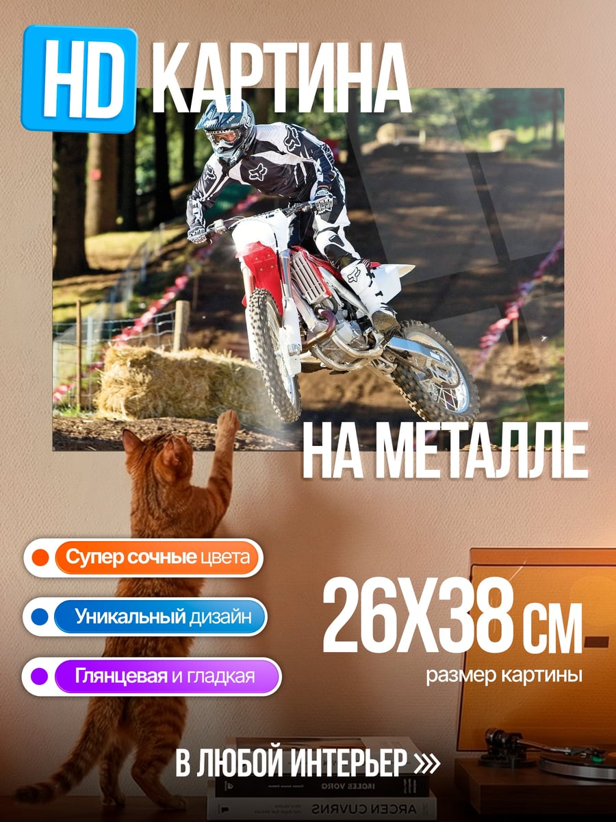 Картина на металле Мотоциклист на трассе