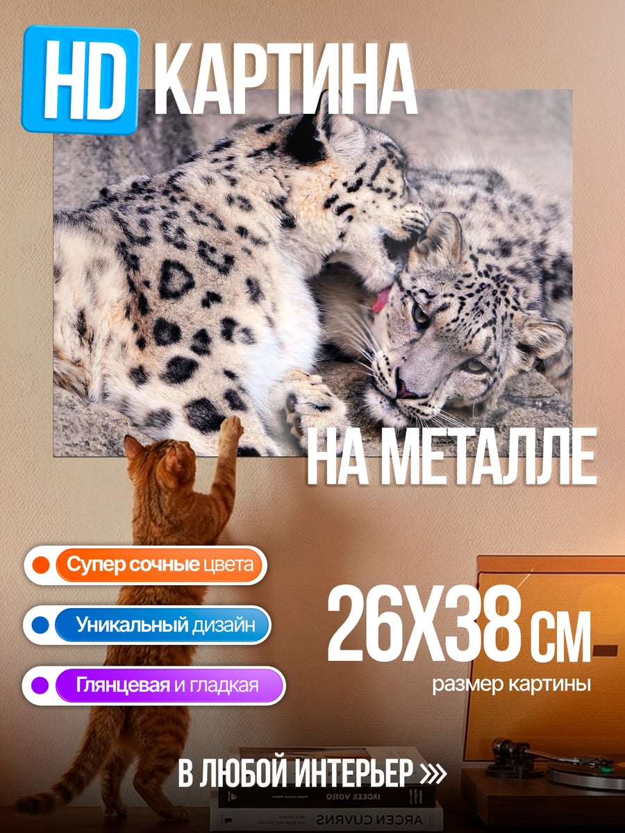 Картина на металле Два снежных барса