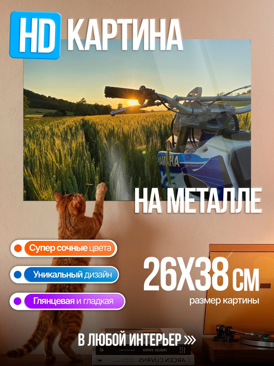Картина на металле Мотоцикл на закате