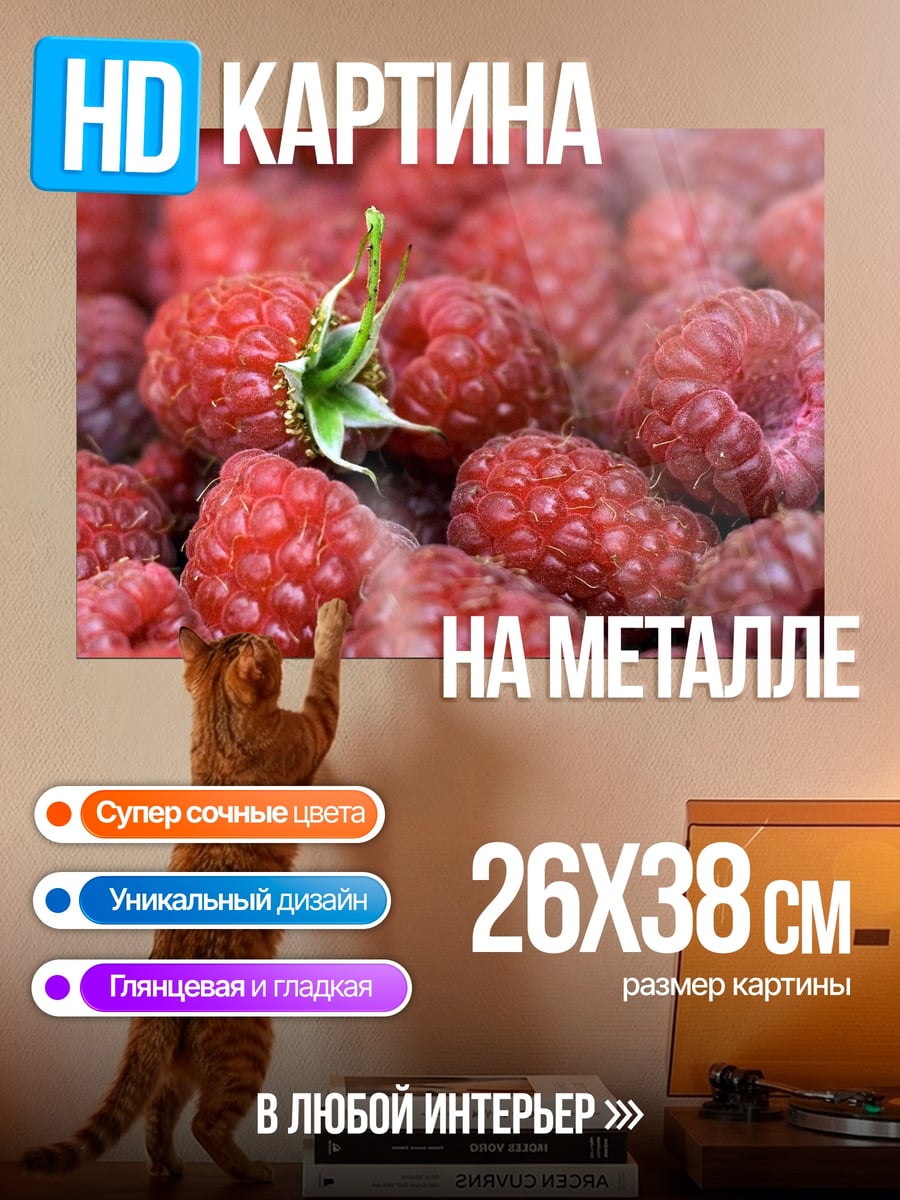 Картина на металле Крупный план малины