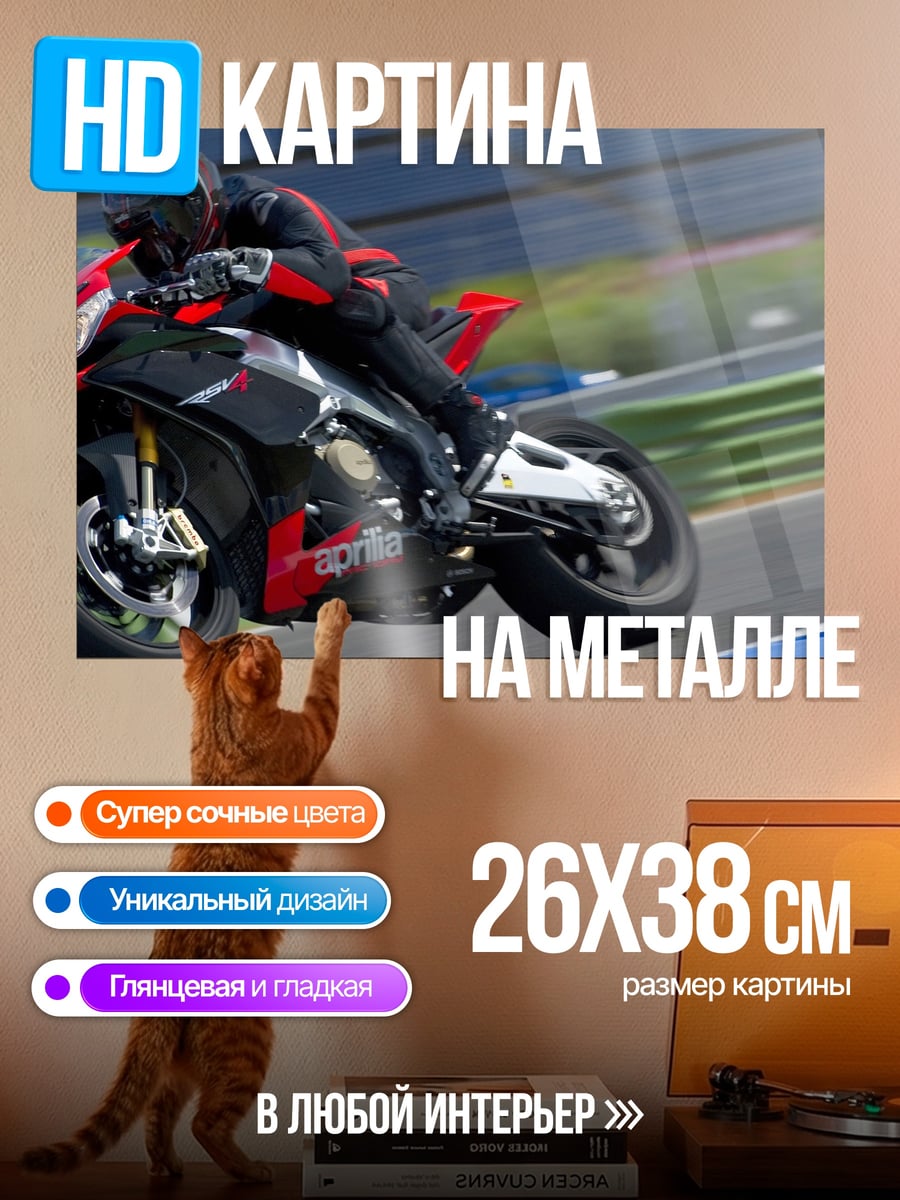 Картина на металле Гонщик на мотоцикле