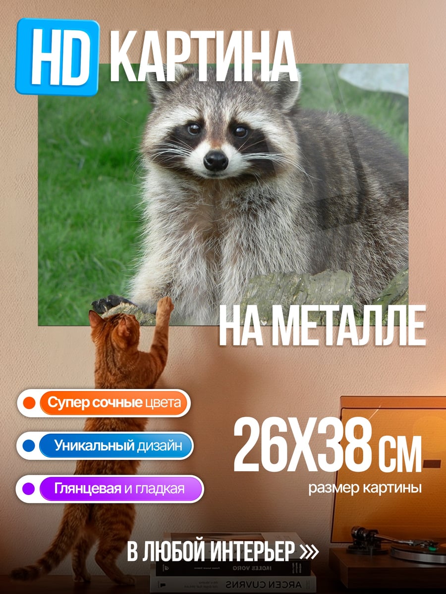 Картина на металле Енот на траве