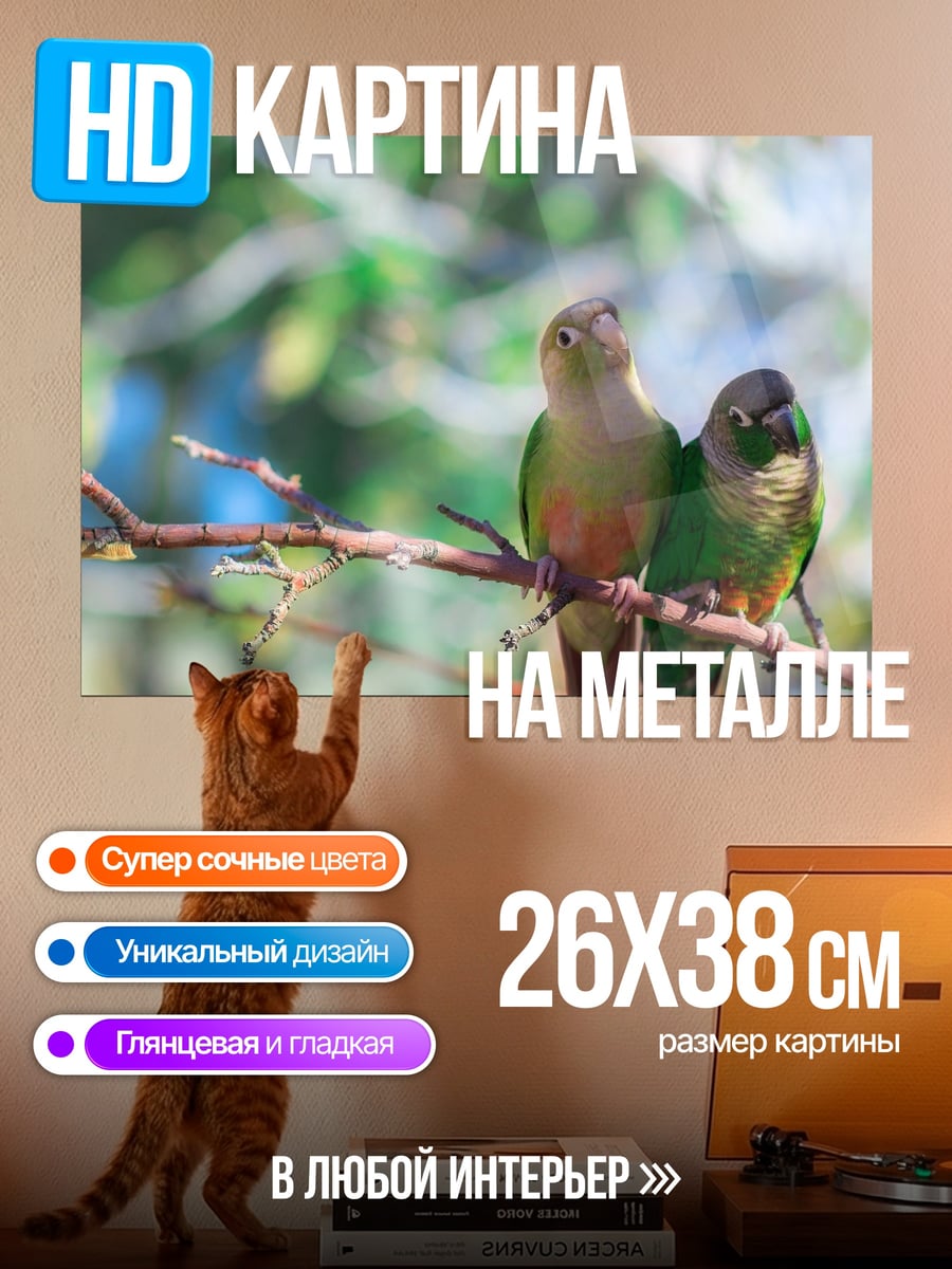 Картина на металле Две птицы на ветке