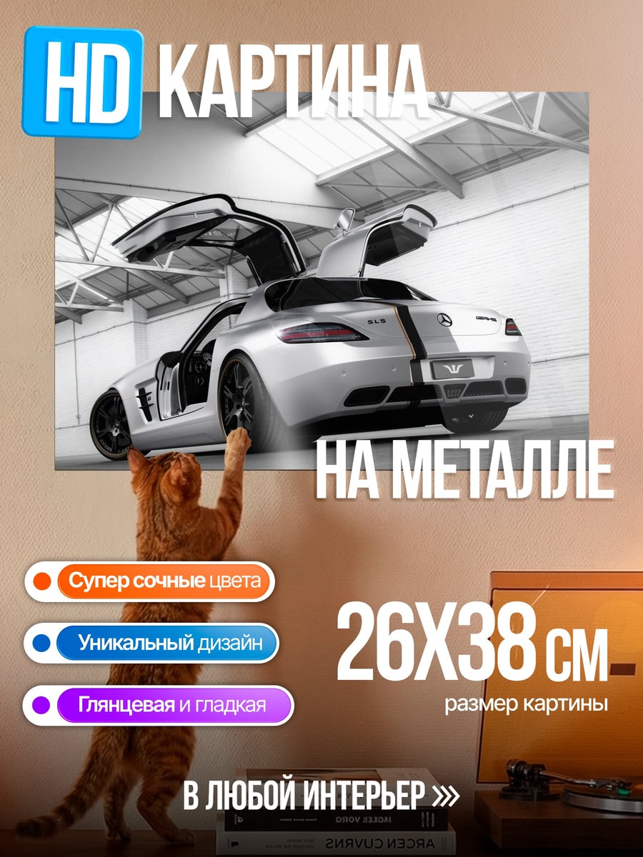 Картина на металле Спортивное купе