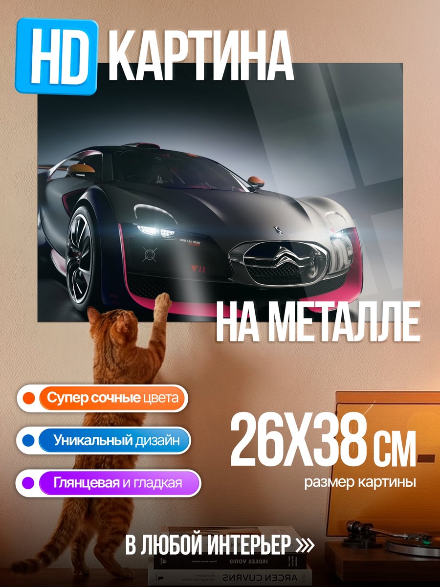Картина на металле Концепткар Citroen