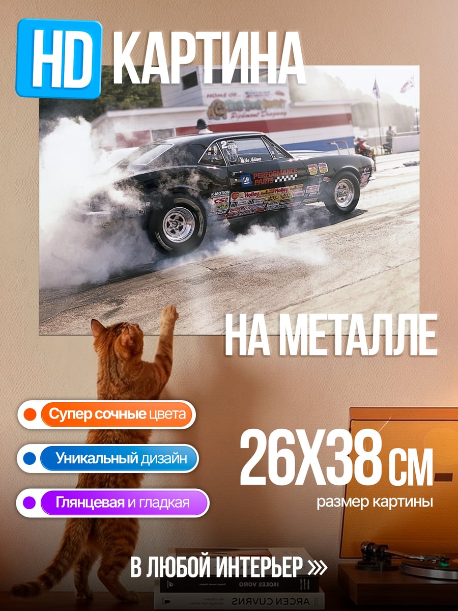 Картина на металле Дымящийся маслкар на треке