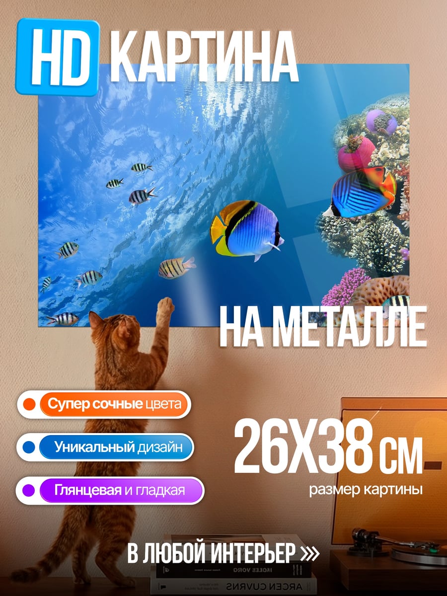 Картина на металле Коралловый риф с рыбами