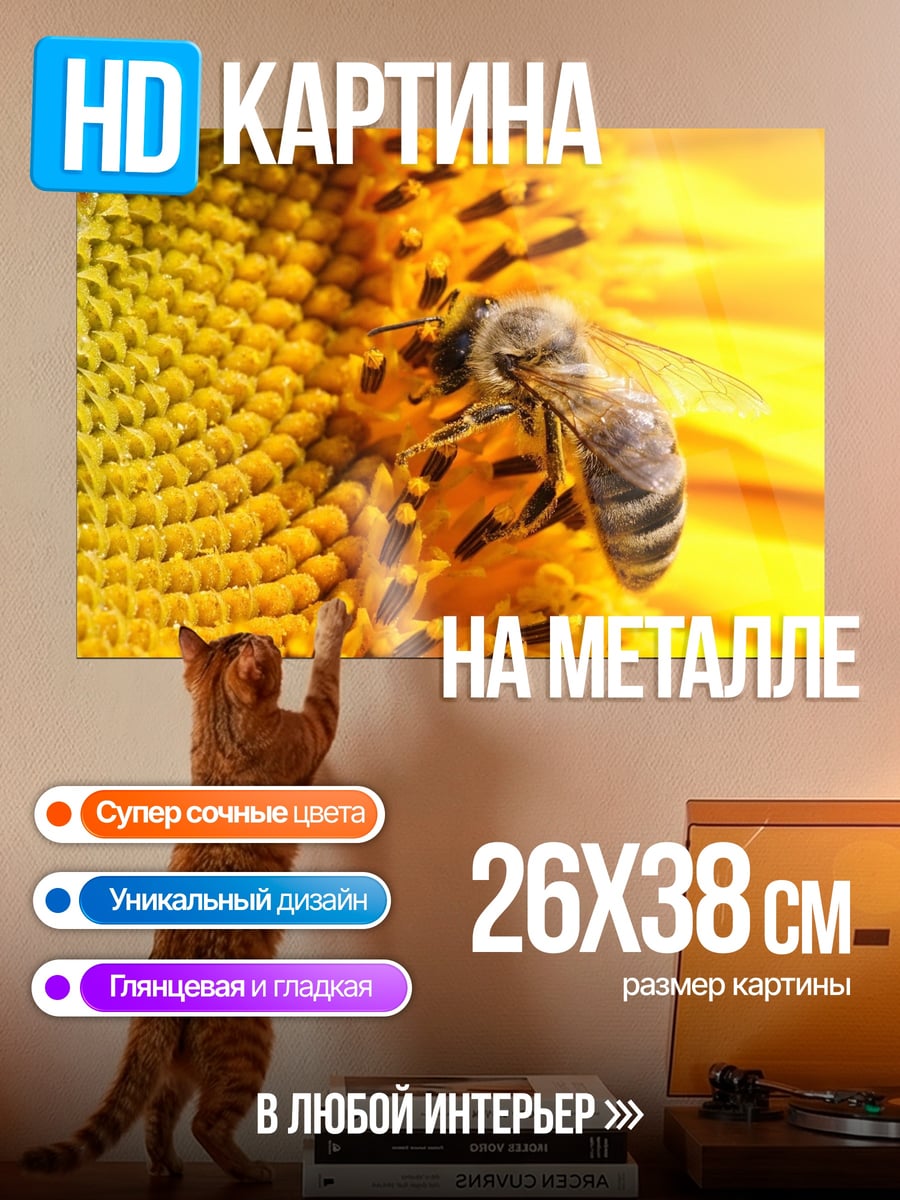 Картина на металле Пчела на подсолнухе