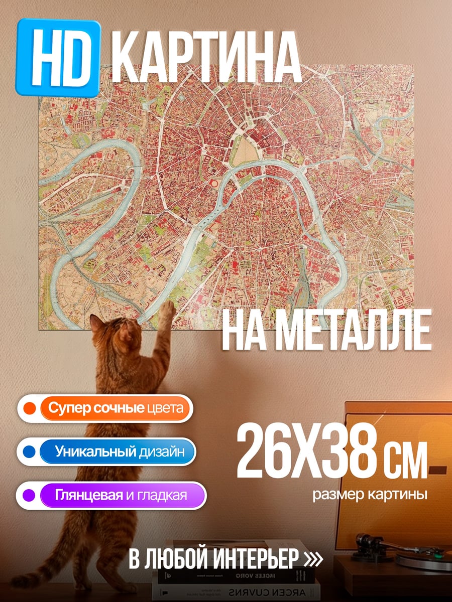 Картина на металле Карта Москвы