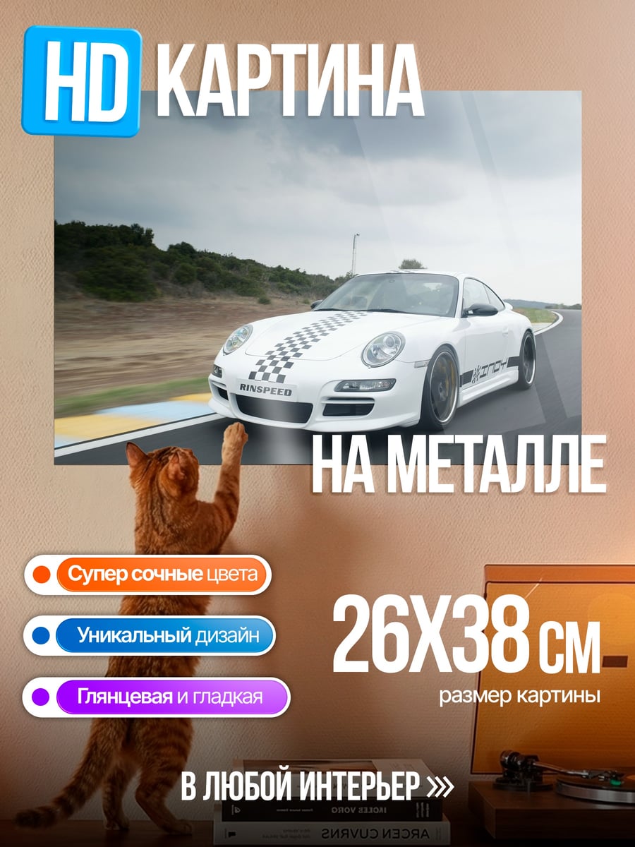 Картина на металле Белый Порше на треке