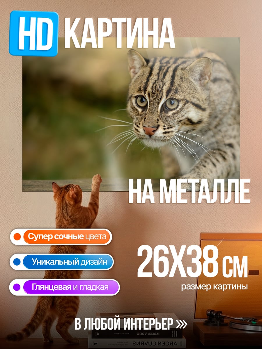 Картина на металле Дикая кошка в траве