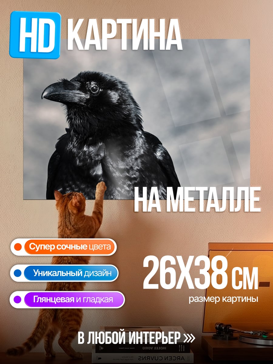 Картина на металле чёрный ворон