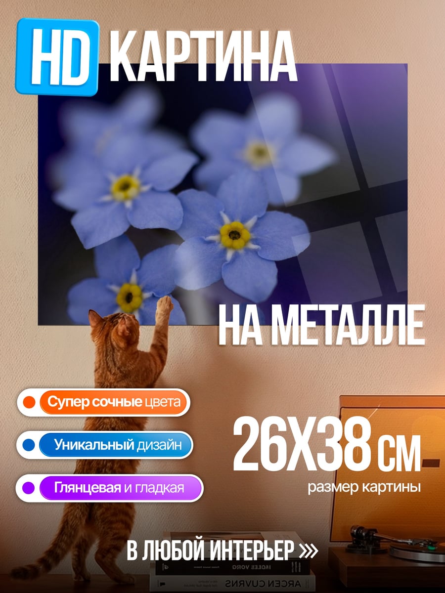 Картина на металле незабудки синие цветы